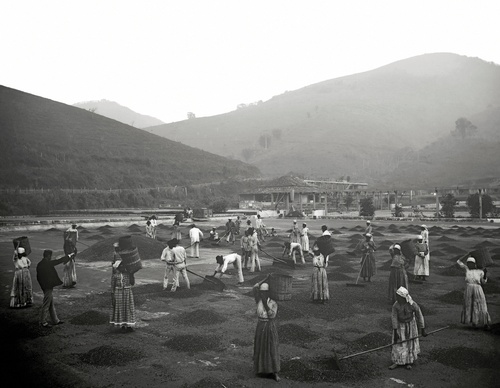 Gallery Of Photography By Marc Ferrez-Brazil