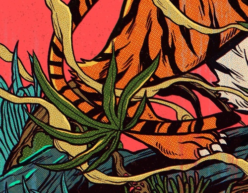 Galeria de ilustrações de Pedro Correa - Brasil