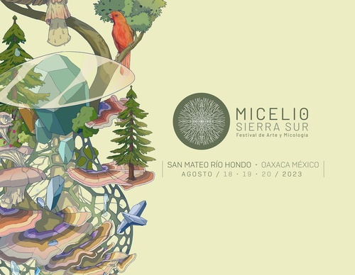 Galería De Ilustración De David Piñón - México