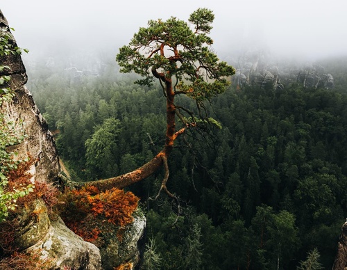 Galería de fotografía de Robert DIcon - Alemania
