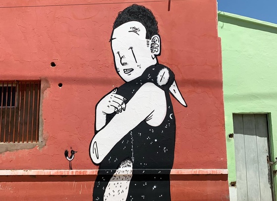 alex senna