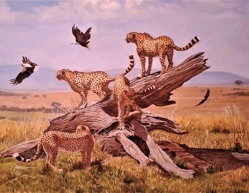 Galería de Pintura de Jorge Castrillón - Argentina