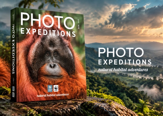 PHOTO EXPEDITIONS