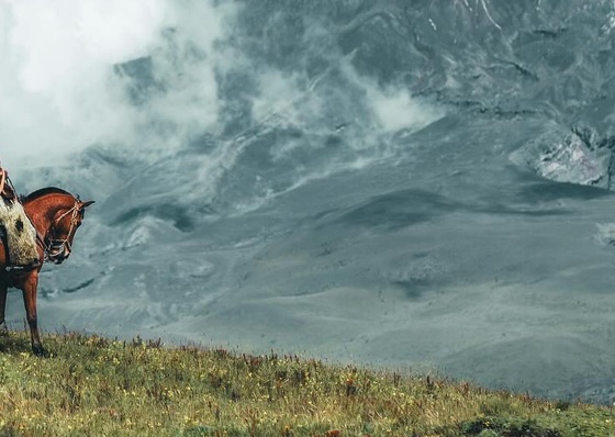 Gallery Of Photography By Giulio Gröbert - Germany