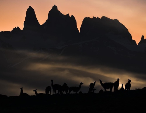 Gallery Of Photography By Keith Ladzinski - Brazil