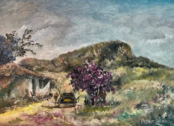 atelie pedro schirato