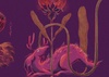 Galeria de ilustrações de Julián Solano - Colômbia