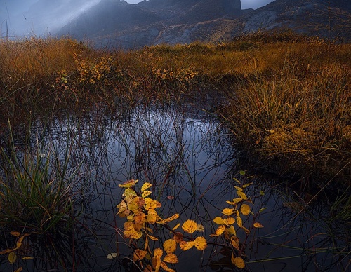 Gallery Of Photography By Isabella Tabacchi - Chile