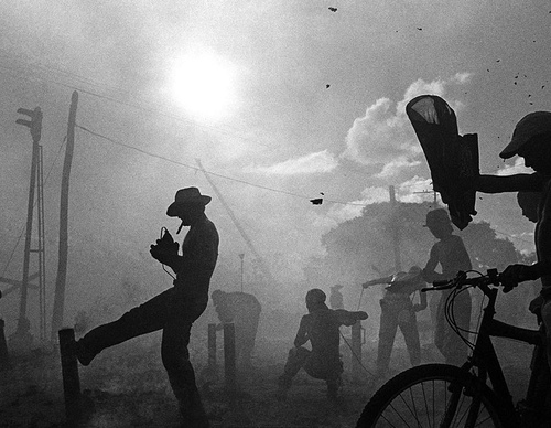 raul canibano