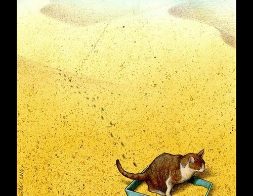 pawel kuczynski