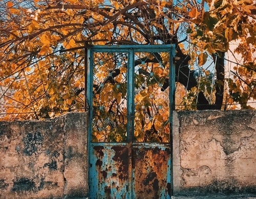 Galería de fotografía de puerta en Palestina