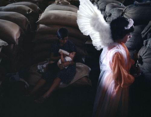 bruno barbey