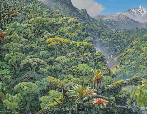 Gallery Of Painting By Maurício Barbato-Brazil