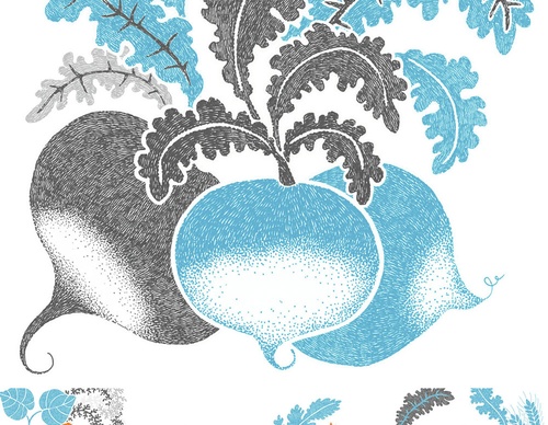 best illustrators