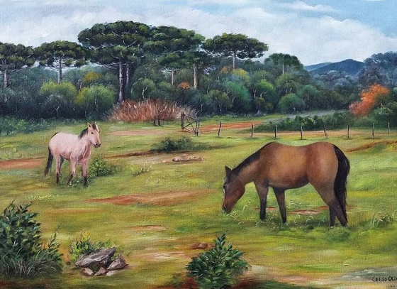 Celso Oliveira