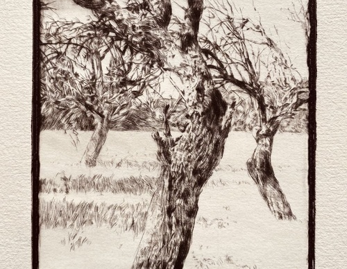 Galeria de Desenho de Andreas Vanpoucke-Bélgica