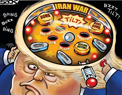 steve sack