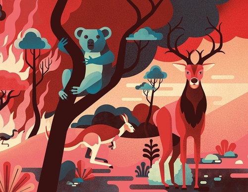 Gallery Of Illustration By Gwen Keraval - France