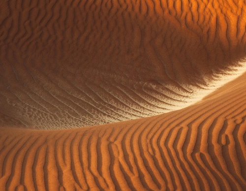 Gallery Of Photography By Khumais Idrees - Pakistan