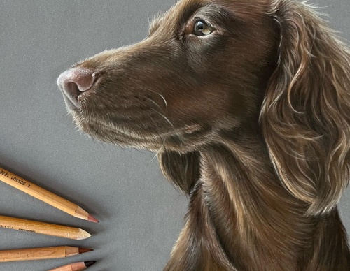 Gallery Of Realistic Painting By Lucy Joyce - United Kingdom