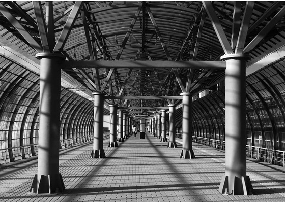 Gallery Of Photography By Federico Fortini - Argentina