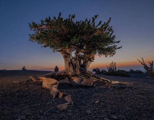 Gallery Of Photography By Keith Ladzinski - Brazil