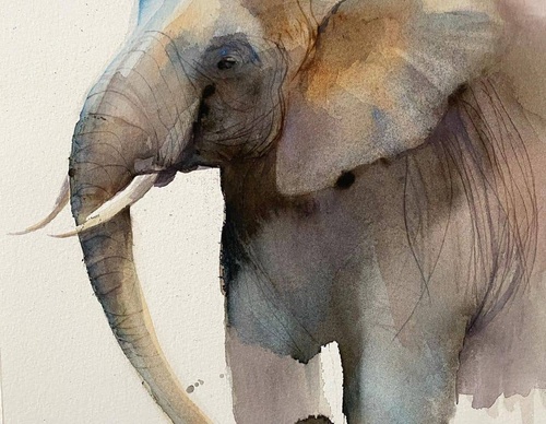 Gallery of Watercolor painting by Anette Gustafsson-Sweden