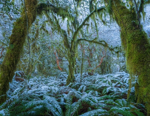 Galeria de fotografias de William Patino - Nova Zelândia
