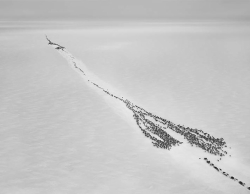 Galería de fotografía de Sebastião Salgado - Brasil