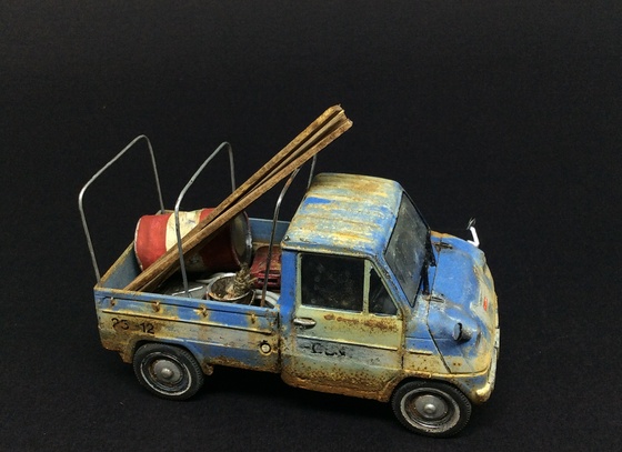 raphael truffi bortholuzzi brazil