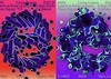 Gallery of Typographic Posters by Robin Eberwein – Switzerland