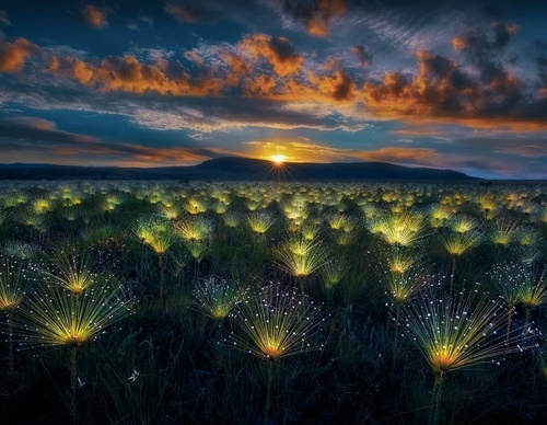 Galería de fotografía de Marcio Cabral - Brasil