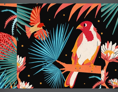 Gallery of Illustration by Bárbara Dantas – Brazil