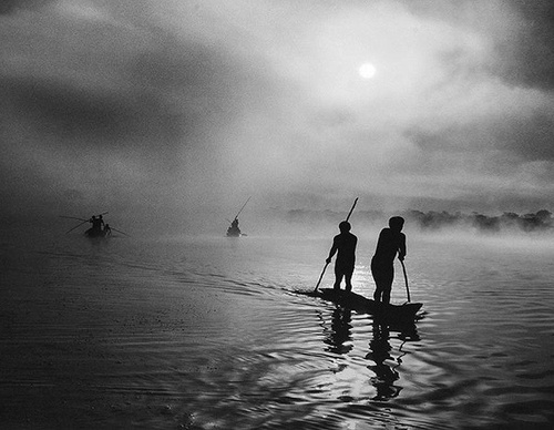 Galeria de Fotografia de Sebastião Salgado-Brasil