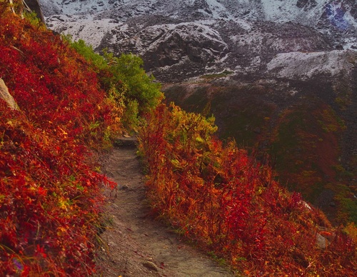 Gallery Of Photography By Patrick Thun - Alaska