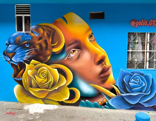 Gallery Of Street Art By Javier Rodriguez - Ecuador