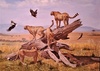 Galería de Pintura de Jorge Castrillón - Argentina
