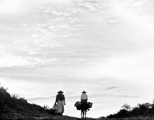 Gallery of  Photography by Pedro Meyer-Mexico