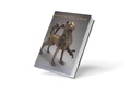 Mirror of the Medieval World