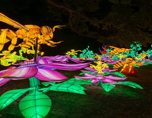The Magic of Light and Color