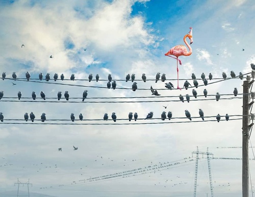 best ad photographers