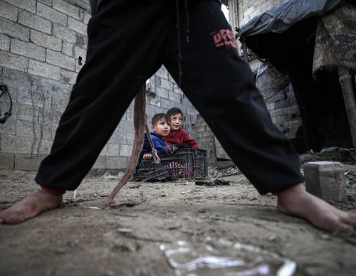 Galería de fotografías de Mohammed Zaanoun - Palestina