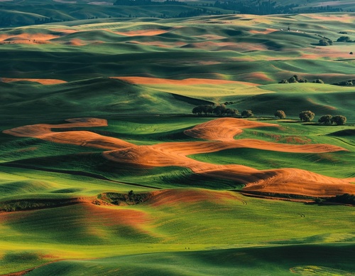Gallery Of Photography By Jacob Rossi - USA