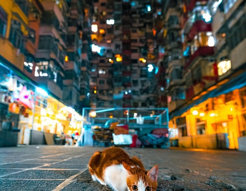 Gallery Of Photography By Jacky Woo - China