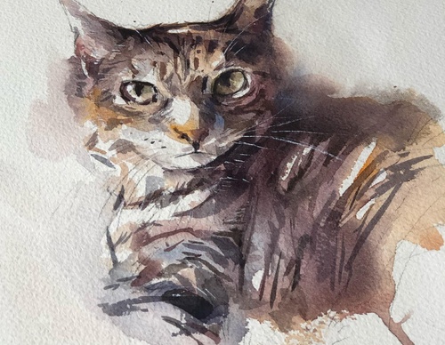 Gallery Of WaterColor Painting By Xavier Palau Blacio - Argentina