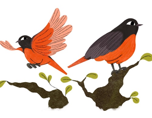Galería de ilustraciones de Kezia Gabriella - Singapur
