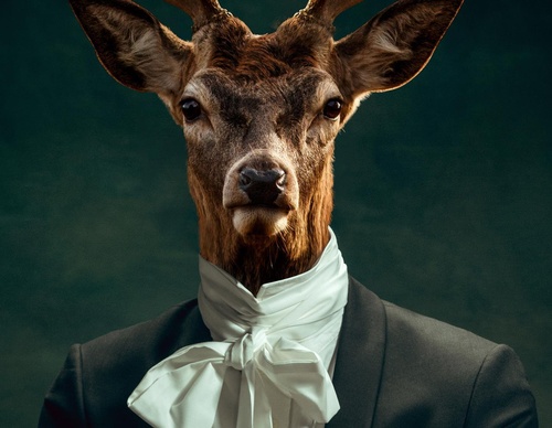 Galería de fotografías de Evgeny Gammer - Rusia