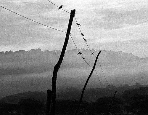 raul canibano