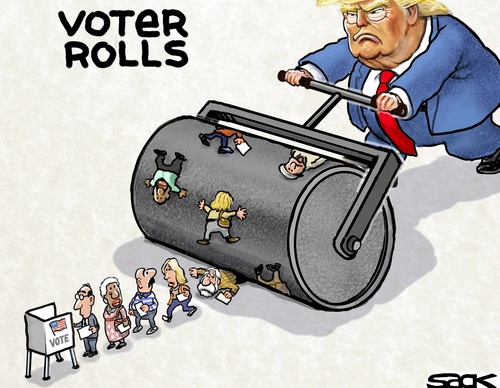 steve sack
