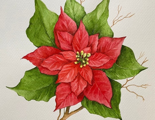 Galeria de Pintura de Silvia Trad - Portuguesa